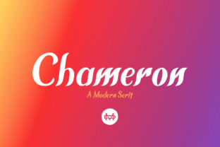 Chameron: The Serif Font Redefining Modern Professional Design